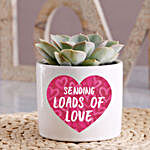 Succulent In Loads Of Love Pot