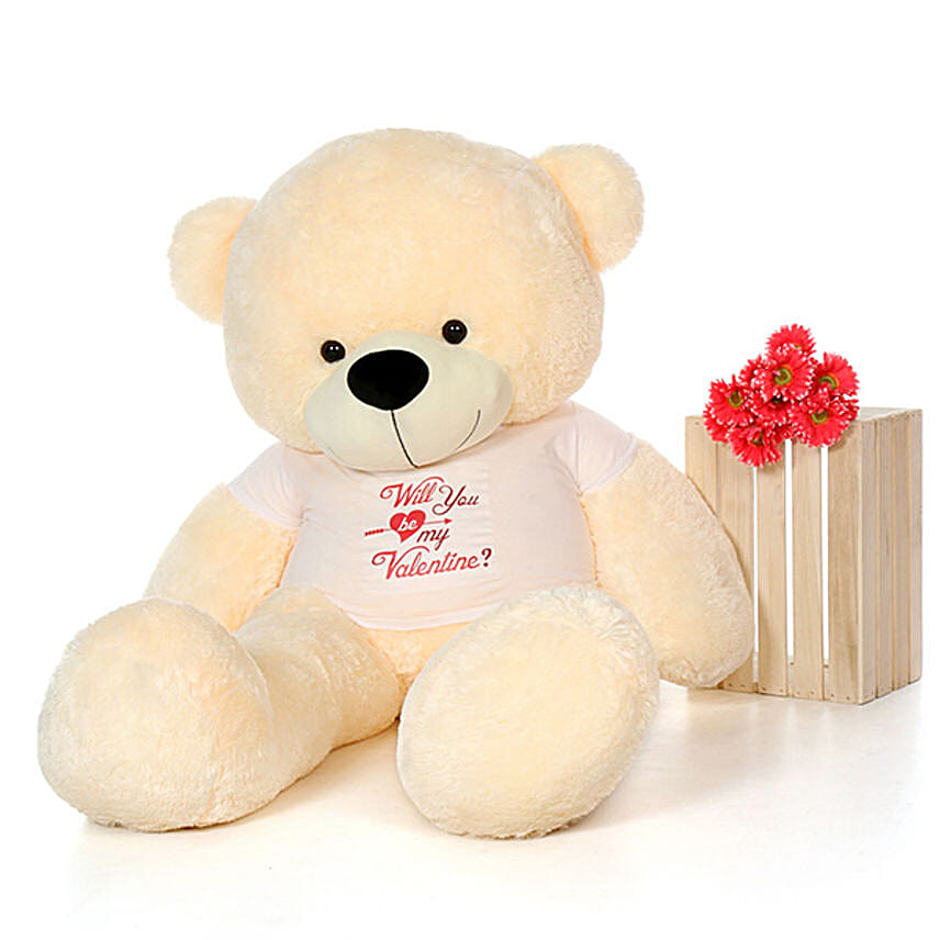 Cuddly Personalised Teddy Bear