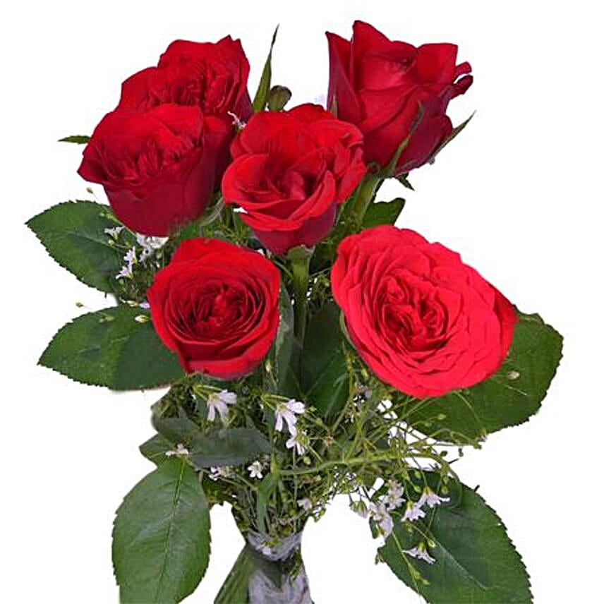 Valentine Roses In A Vase