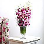 Elegant Orchids In Vase