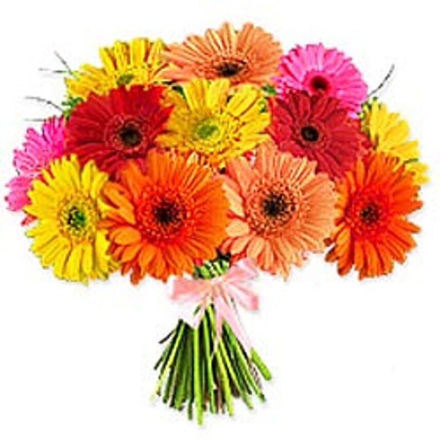 Crazy Daisy - SWD
