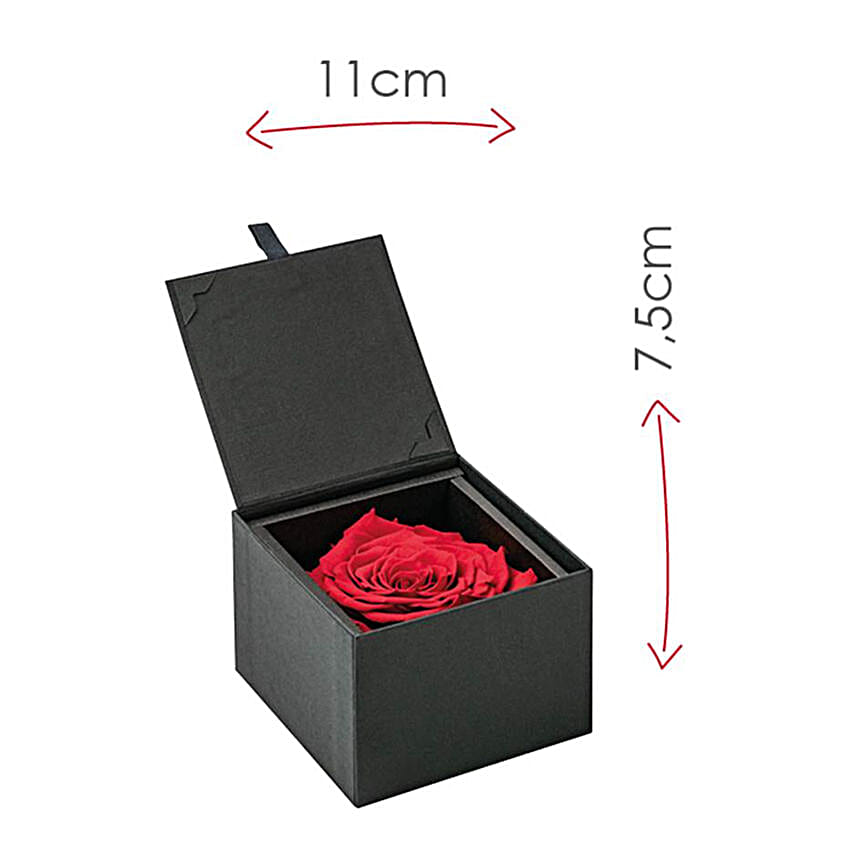Infinity Rose Gift Box