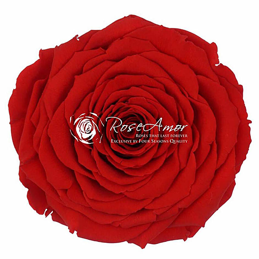 Infinity Rose Gift Box