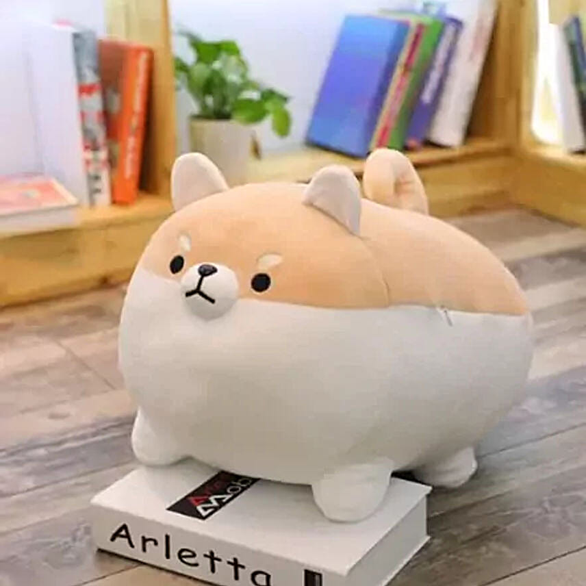 Chubby Shiba