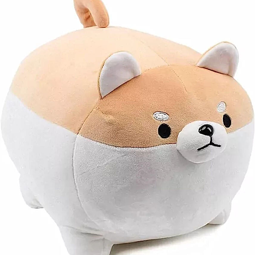 Chubby Shiba