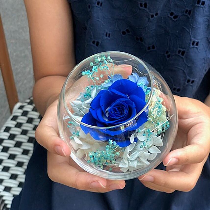 Enticing Preserved Rose Glass