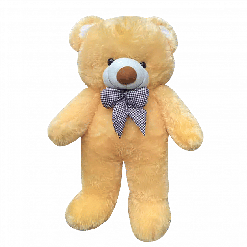 Giant Teddy