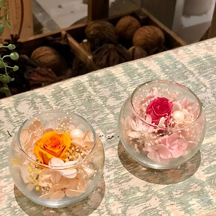 Graceful Preserved Rose