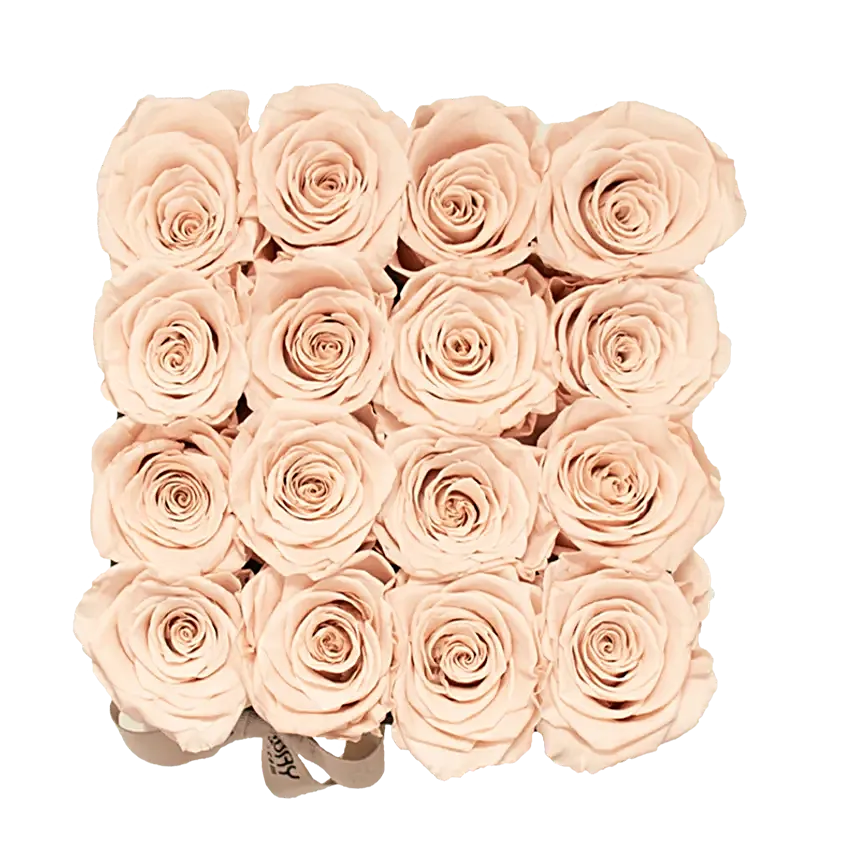Khaki Forever Roses Small Box