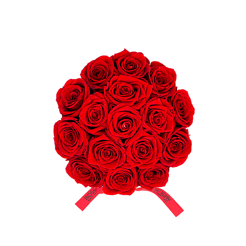 Red Eternity Roses Round Velvet Box