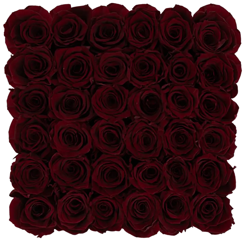 Wine Red Eternity Roses Square Box