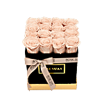 Khaki Forever Roses Small Box