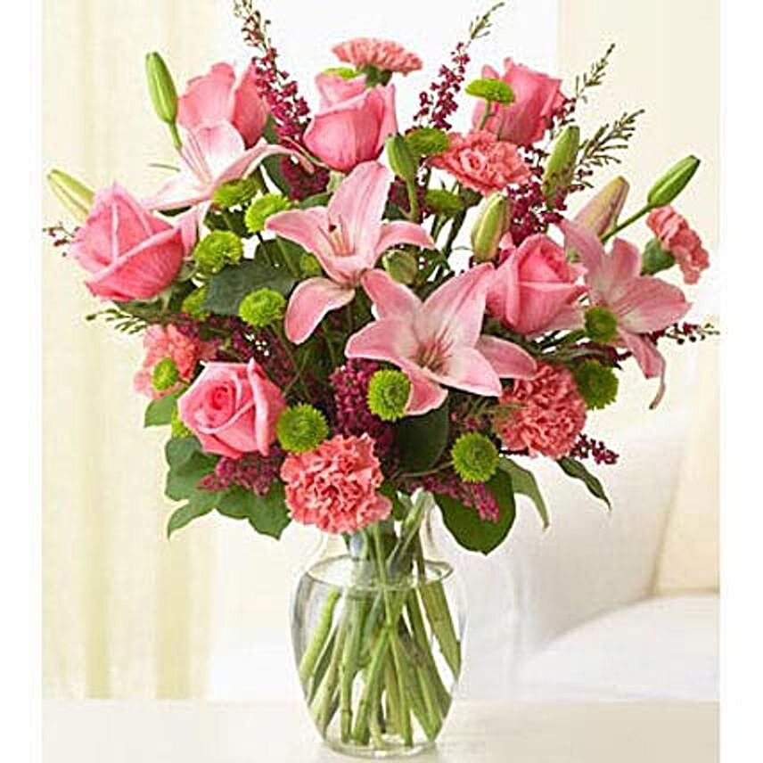 Pleasantly Pink:Send Carnation Flower to UAE