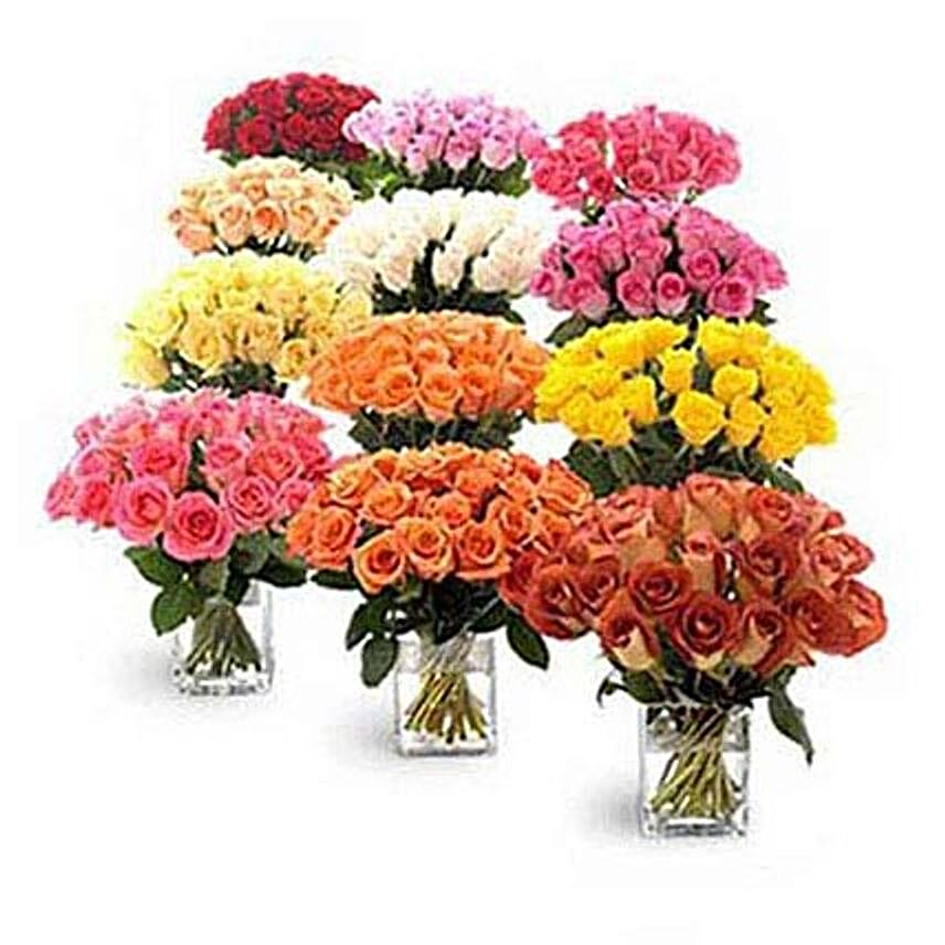 Special Arrangement of 240 Roses