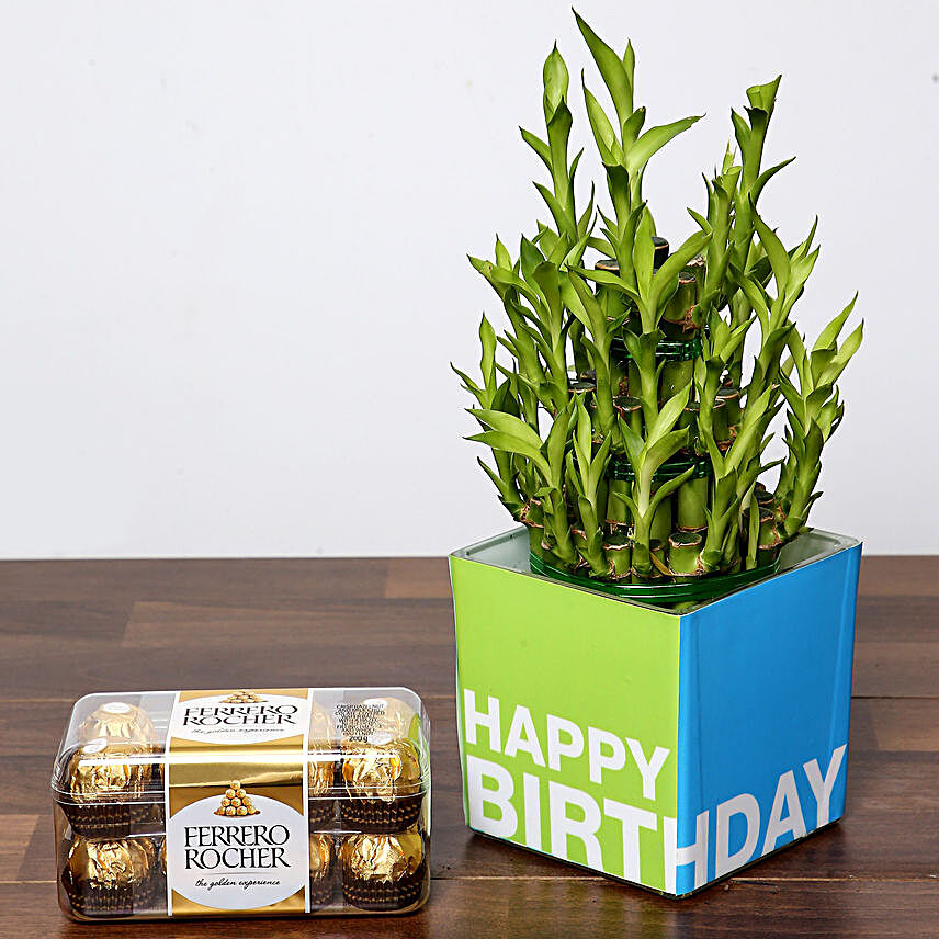 3 Layer Bamboo Plant and Chocolates For Birthday