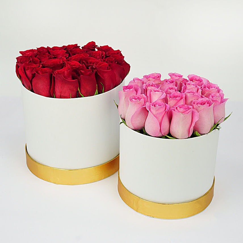 Red and Pink Roses Allure in Round Boxes