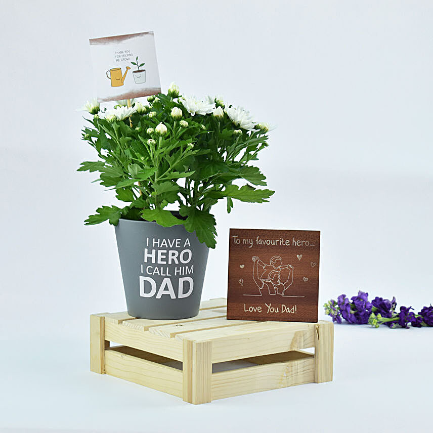 Chrysanthemum Plant for Dad and Plaque:Plant Combos to UAE