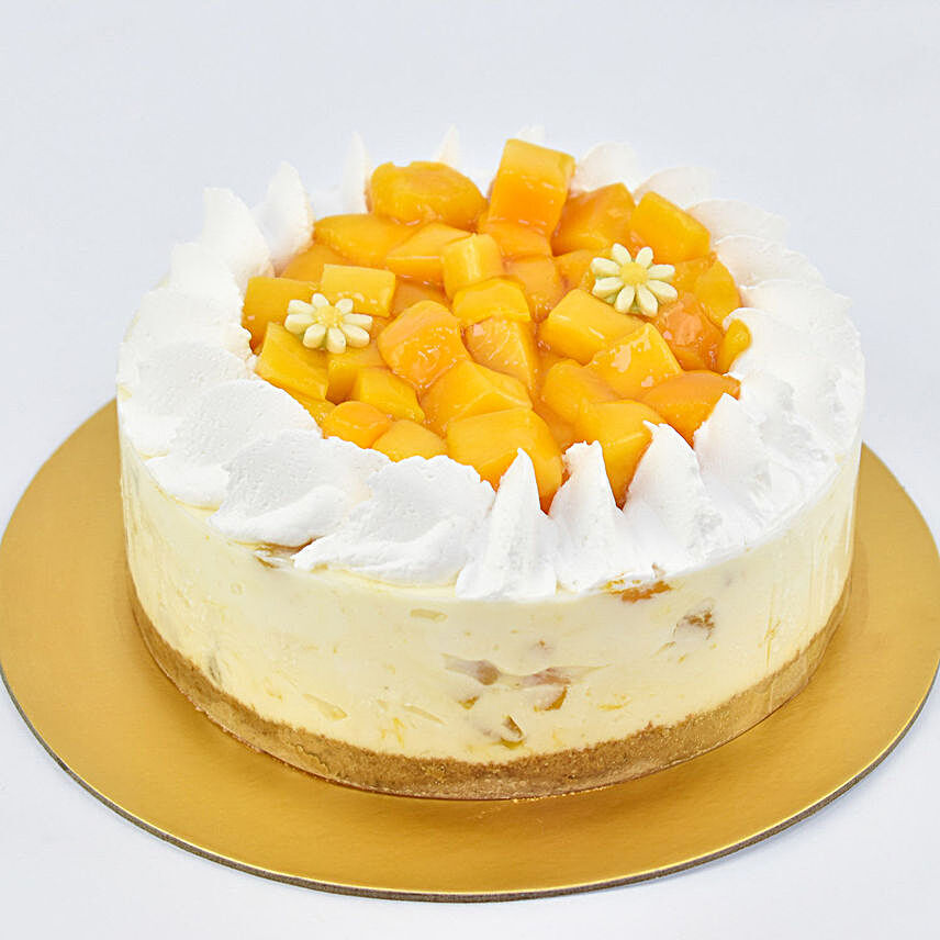 Special Mango Cheesecake:Send Cakes to UAE