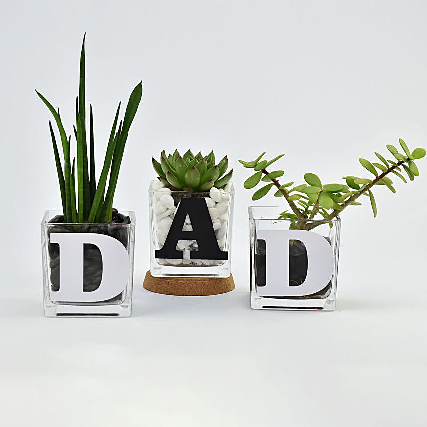 Trio of Plants for DAD
