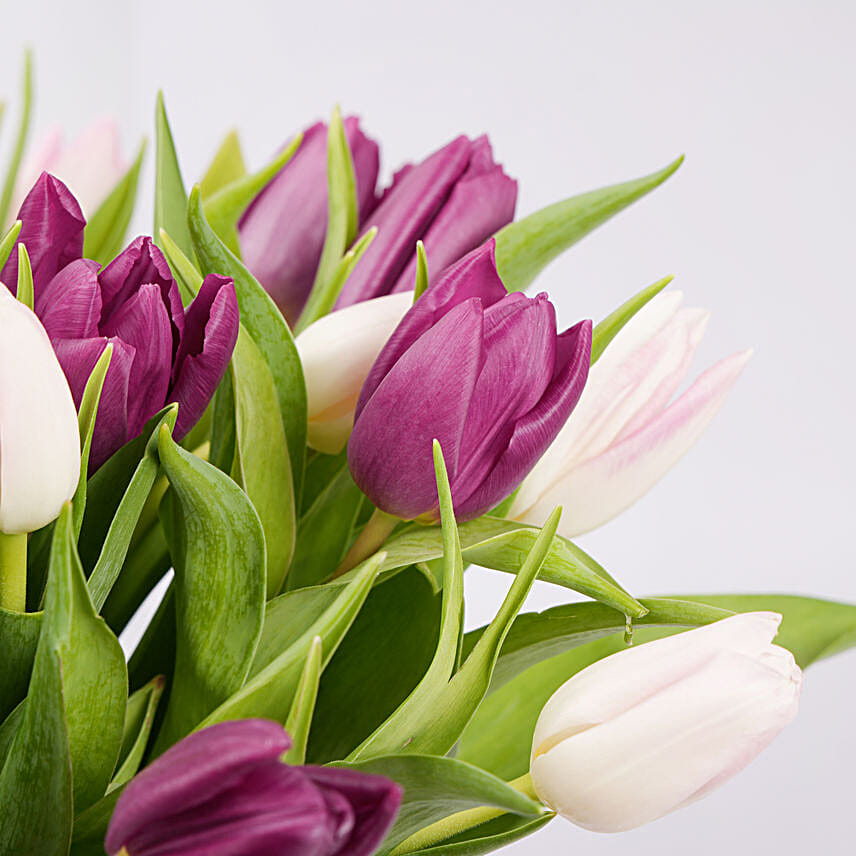 Mix Tulips in Premium Vase