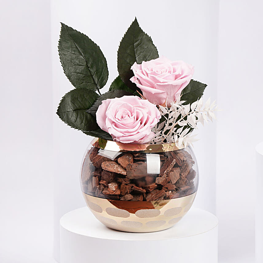 Duo of Pink Preserved Rose in Premium Vase