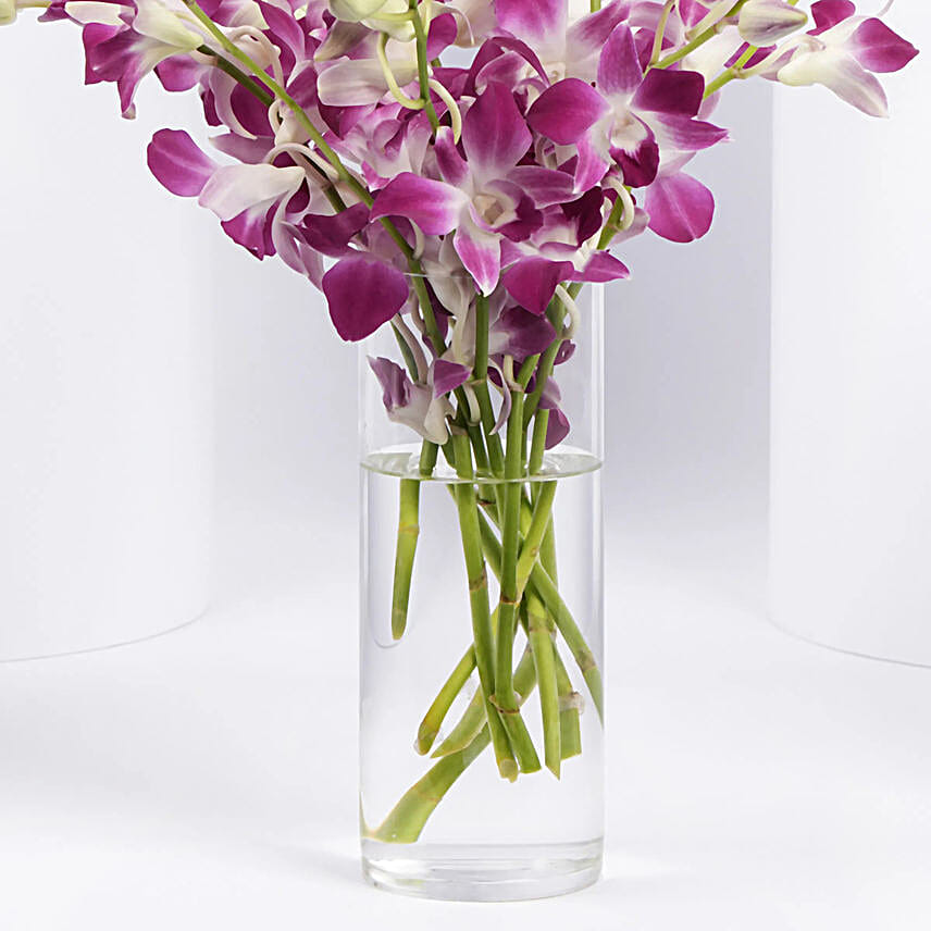 Pink Orchids in Gold Vase