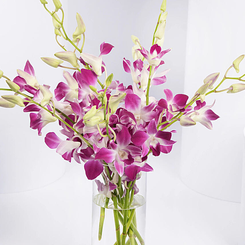 Pink Orchids in Gold Vase