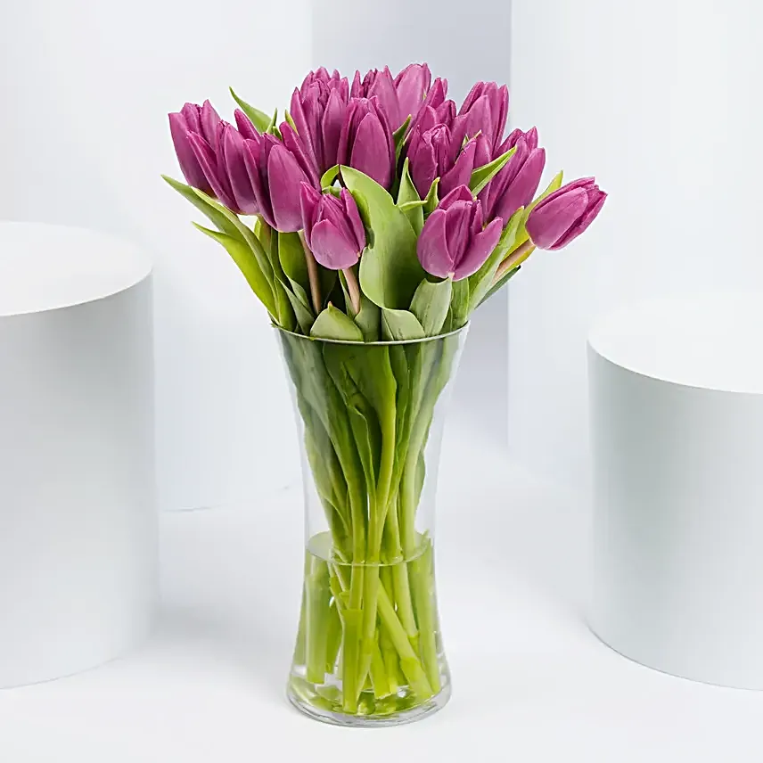 Purple Tulips in Gold Vase