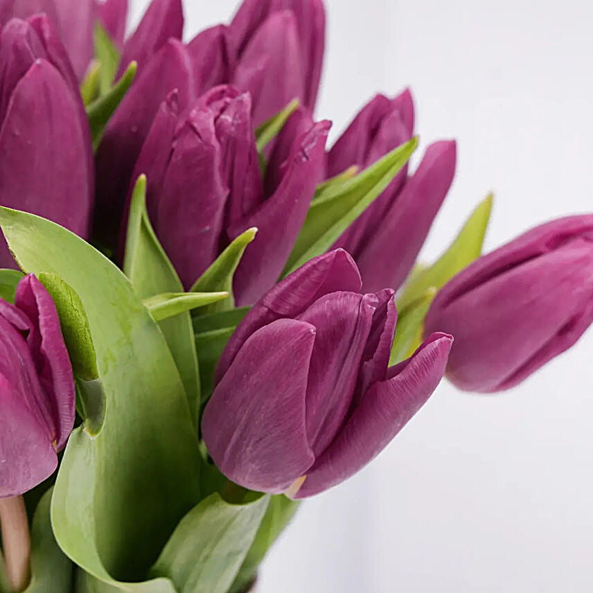 Purple Tulips in Gold Vase