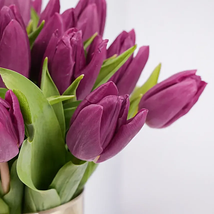 Purple Tulips in Gold Vase