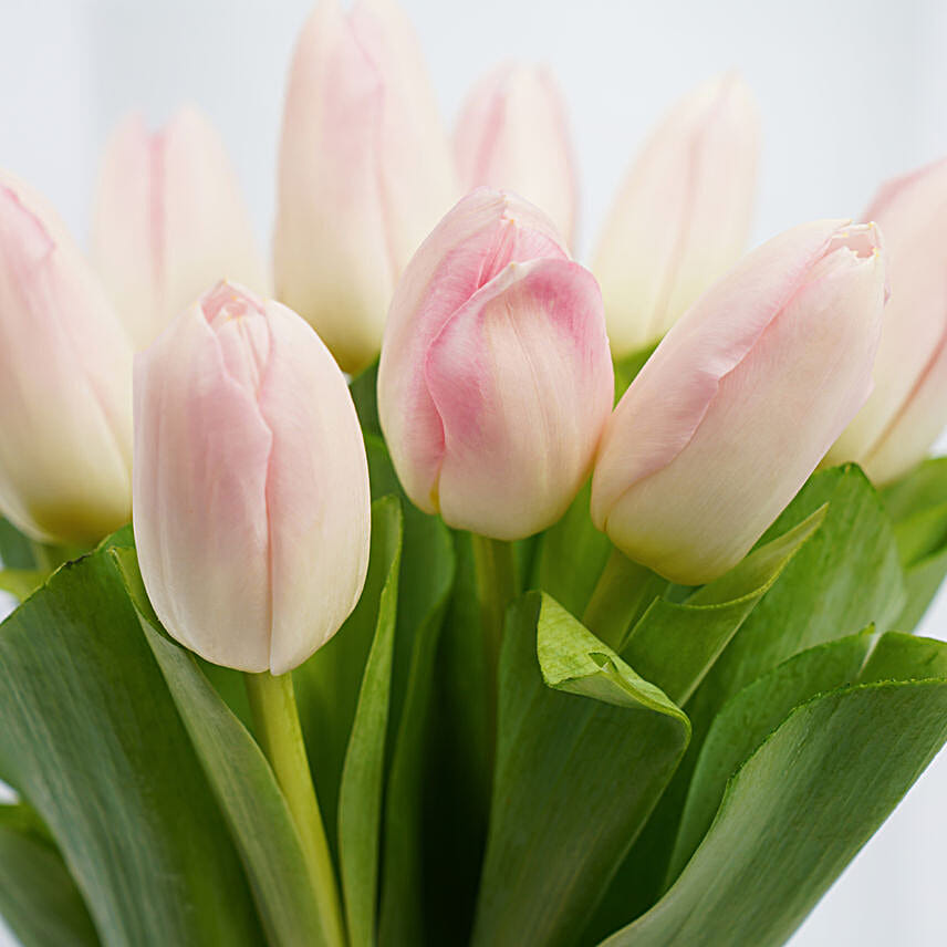 10 Tulips In a Vase