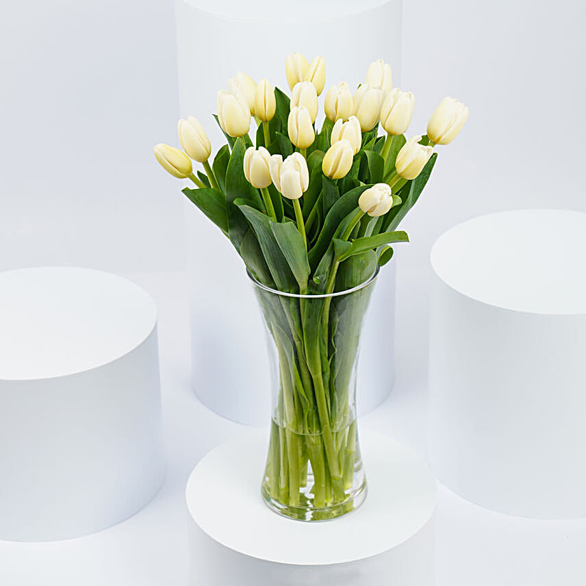 20 White Tulips