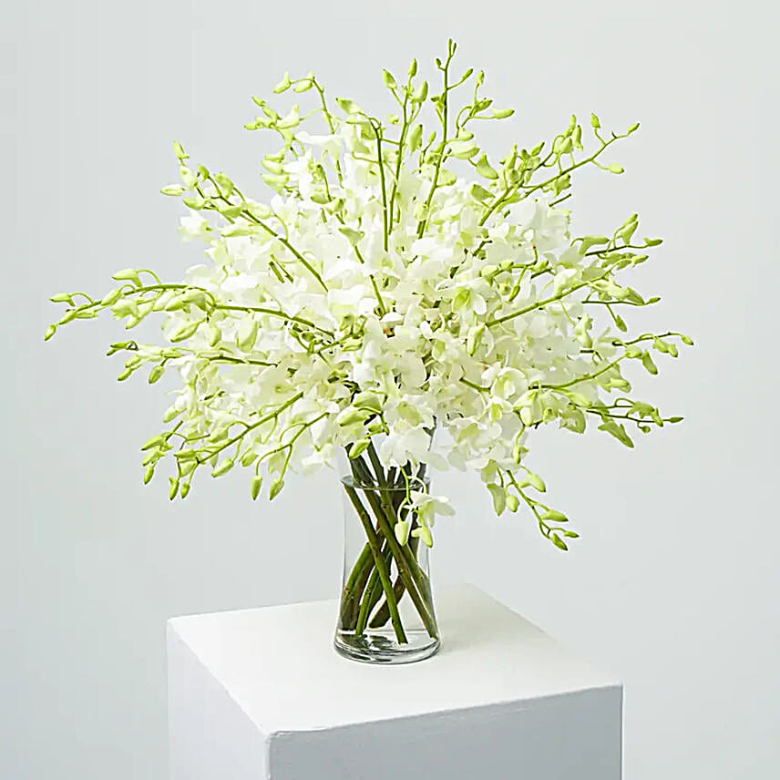 38 White Orchids Arrangement
