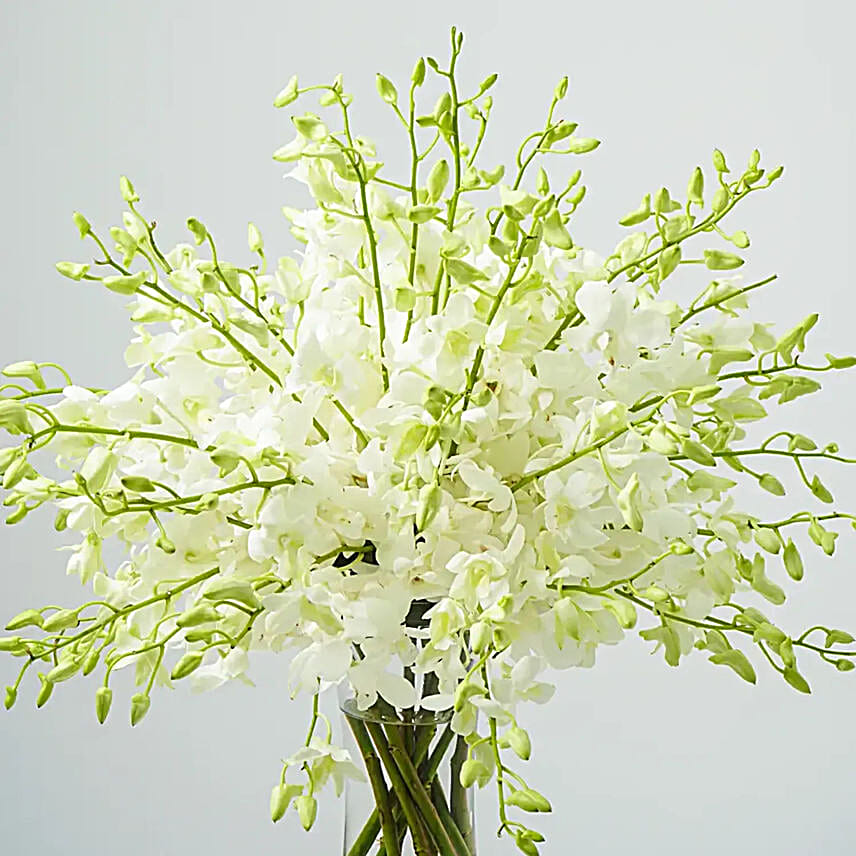 38 White Orchids Arrangement
