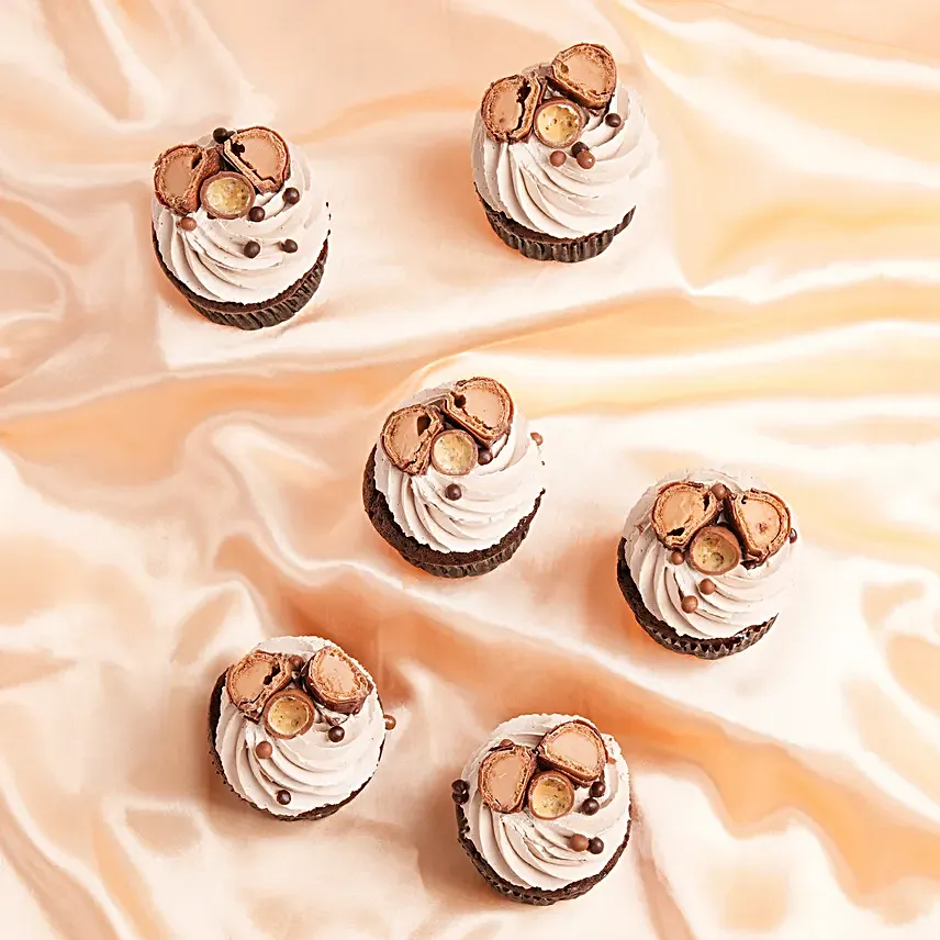 Delicious Chocolate Cupcakes