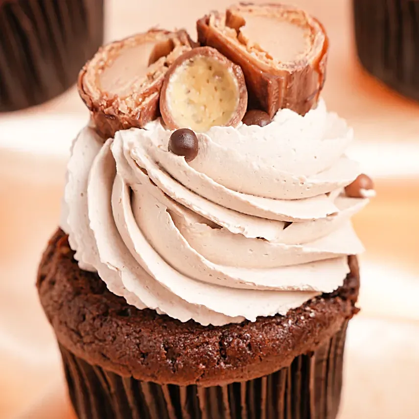 Delicious Chocolate Cupcakes