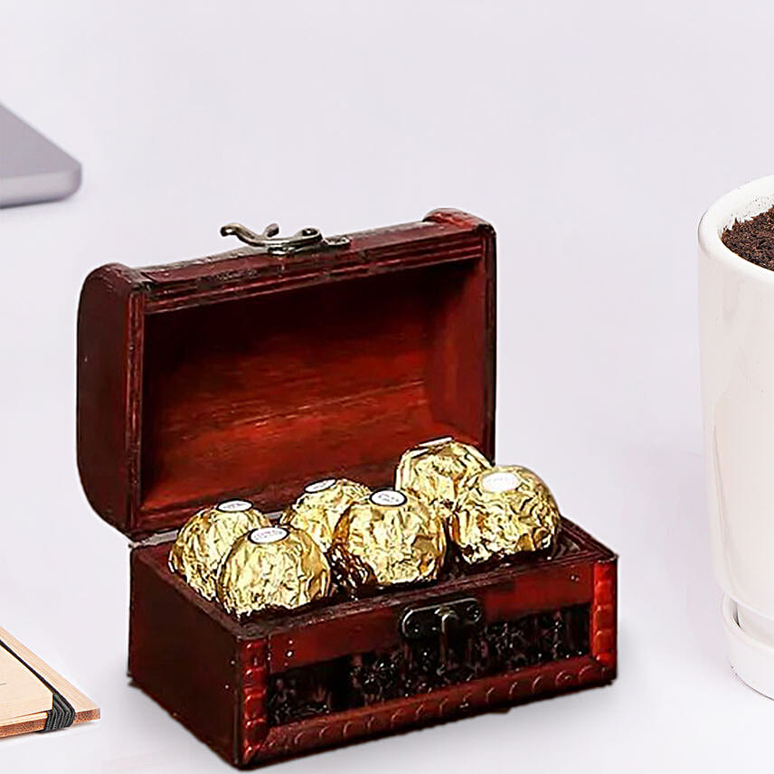 Ficus Bonsai Plant In Ceramic Pot and Chocolates