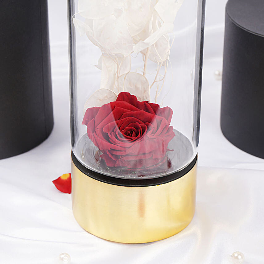 Gift of Love Red Forever Rose in Premium Vase
