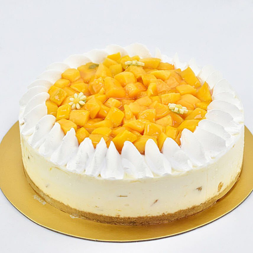 Special Mango Cheesecake 8 Portion