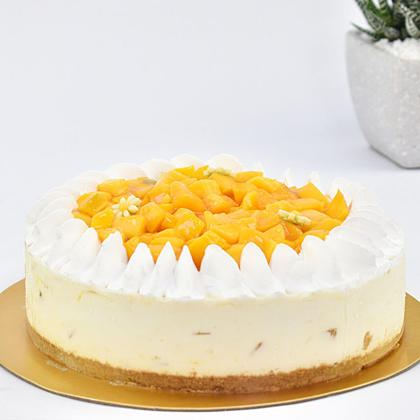 Special Mango Cheesecake 8 Portion