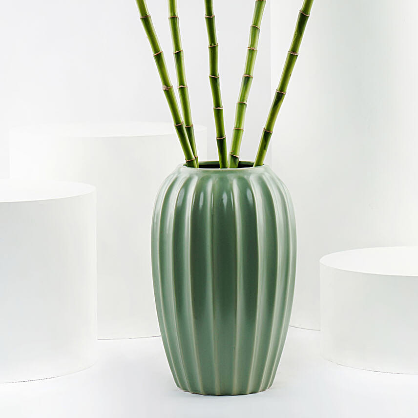Sprial Lucky Bamboo in Premium Ceramic Vase