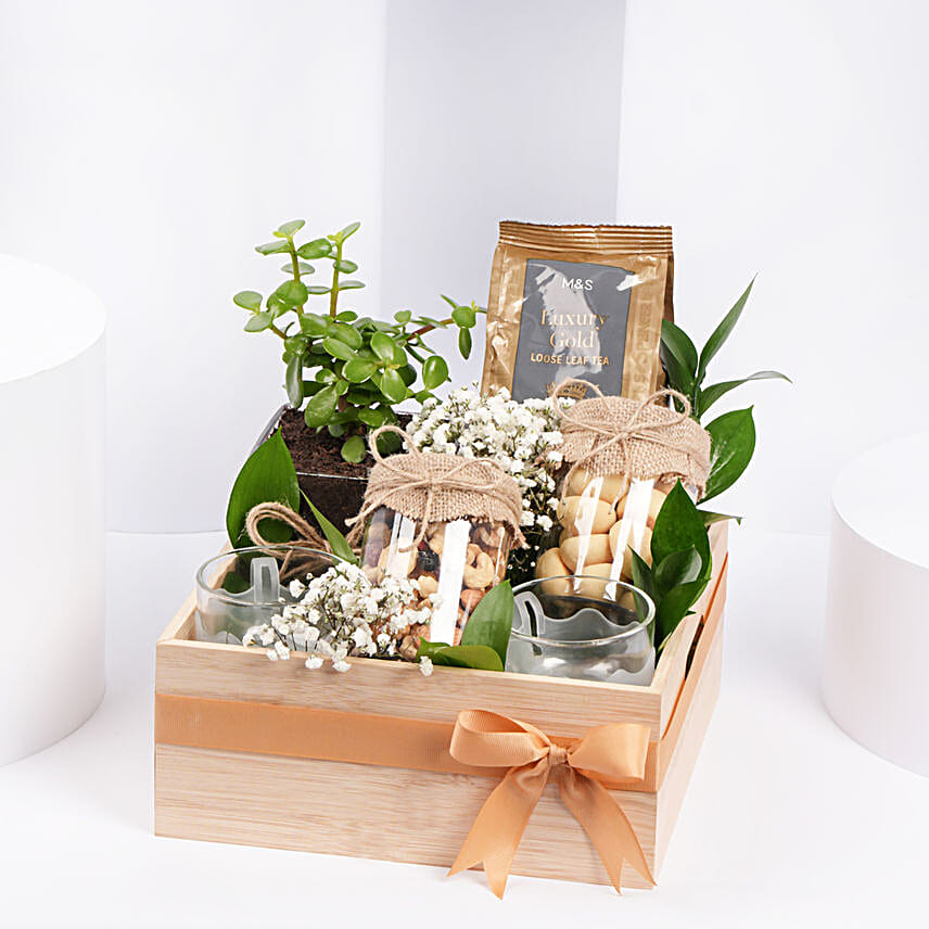 Tea and Plant Gift Hamper