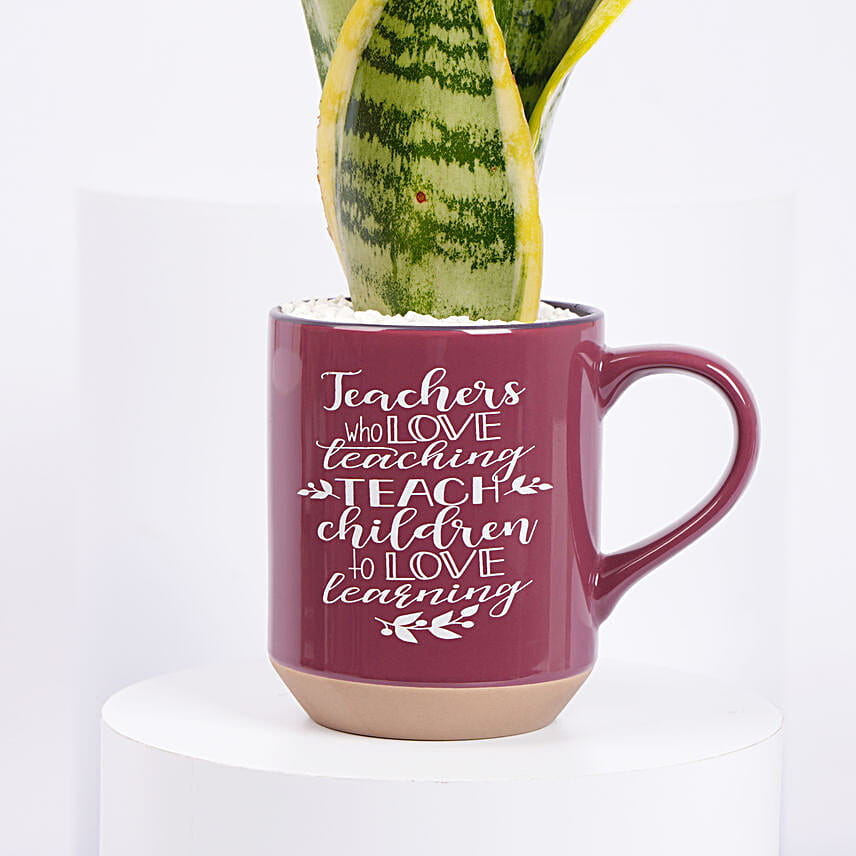Worlds Best Teacher Snake Plant