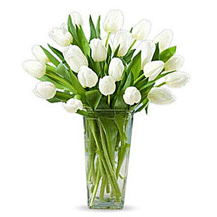 20 White Tulips:Same Day Condolence Flowers in UAE