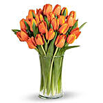 Orange Tulip Collection