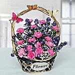 Deightful Carnations N Blue Aster Flower Basket