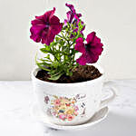 Purple Petunia In Beautiful Cup
