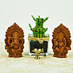 Spiritual Diwali Hamperand Lucky Plant