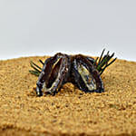 Vegan Dates Cake Half Kg