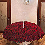 800 Red Roses Basket Arrangement
